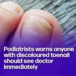 Warning! If you have found this insect in your home, it’s a sign that you need to…see more…