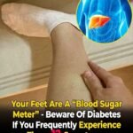When an elderly person goes through a delicate stage, these 4 changes may appear and deserve attention.