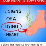 High blood pressure, high cholesterol: Avoid these 3 habits in the morning