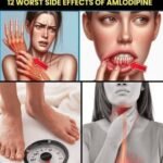 5 foods rich in estrogen