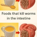 WARNING: Taking Amlodipine? These 8 Habits Are Secretly Screwing With Your Meds – Ditch ‘Em NOW!